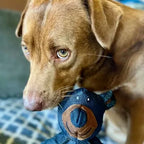 TitanChew™ — Unbreakable Fun That Keeps Your Dog Happy and Healthy