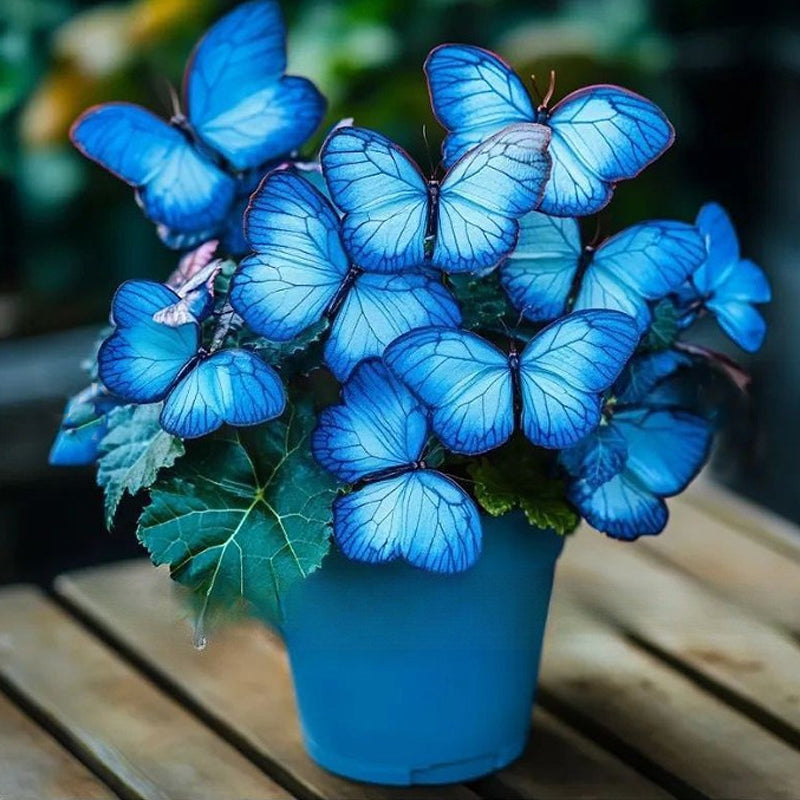 EnchantWing™ Butterfly Bloom Seeds — Transform Your Garden into a Vibrant Butterfly Paradise That Dazzles Every Eye