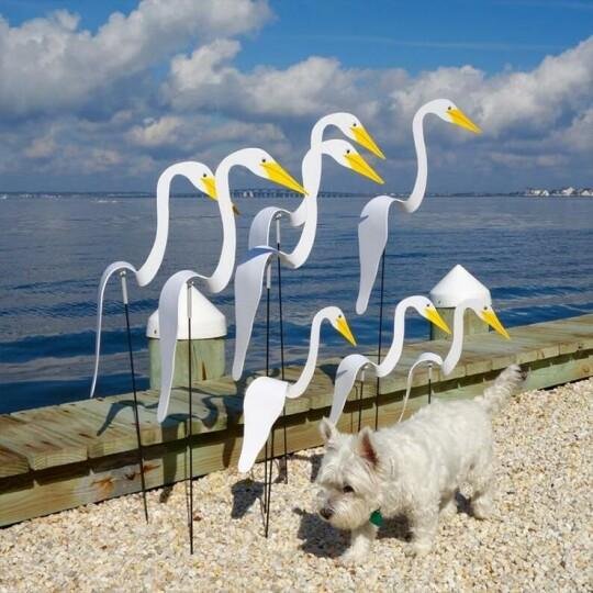 AeroFleur™ — Transform Your Garden into a Captivating Breeze-Driven Sanctuary