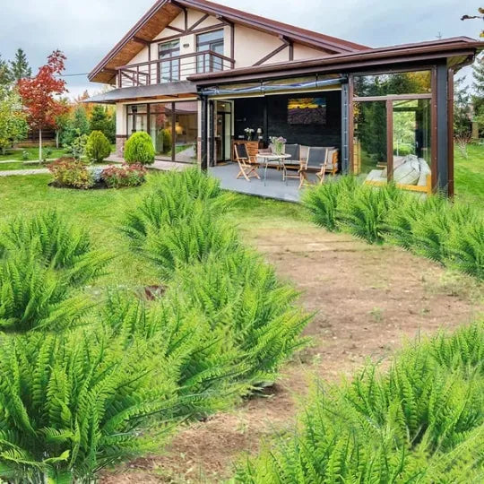EmeraldMoss™ — Stunningly Real Greenery That Thrives Without Effort or Watering