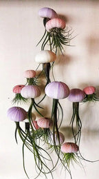 SeaThrive™ — Bring Peaceful Coastal Beauty and Effortless Greenery Into Your Home