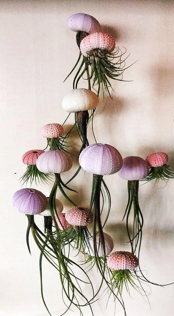 SeaThrive™ — Bring Peaceful Coastal Beauty and Effortless Greenery Into Your Home
