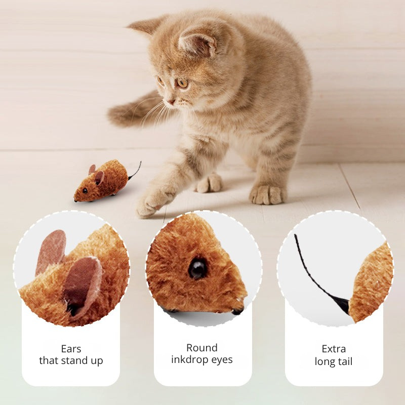 FurVanta™ — Effortless Pet Hair Removal That Transforms Your Home Instantly