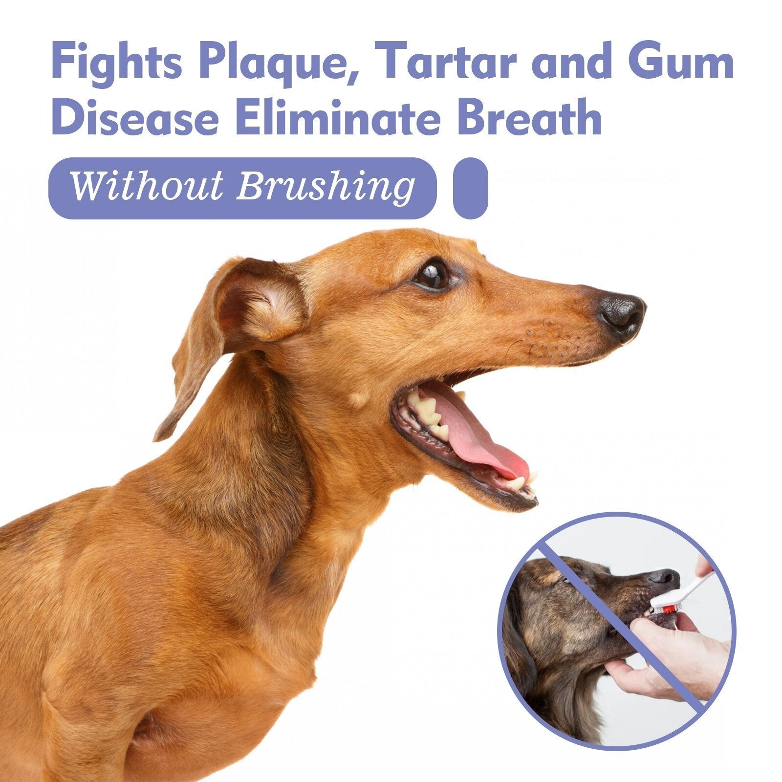 BreezeMist™ Breath Elixir — Unlock Endless Snuggles with Fresh, Healthy Pet Breath