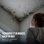 MoldGuard Pro™ — Deep-Kill Mold Defense for a Fresh, Forever-Clean Home