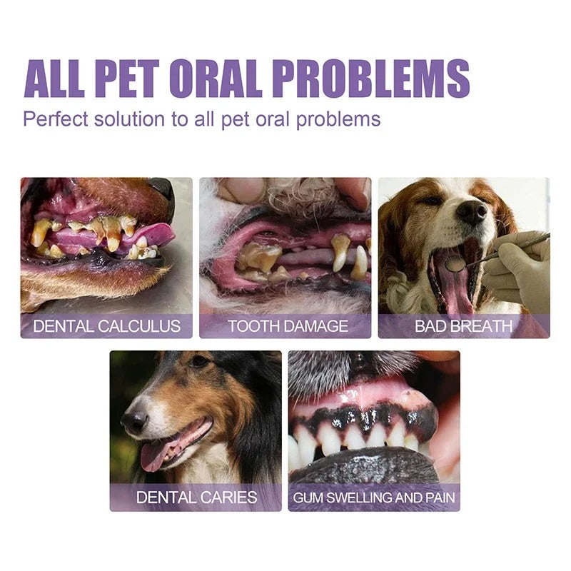 PurePaw Smile™ — Unlock Joyful Play with a Fresh, Pain-Free Pet Smile Every Day