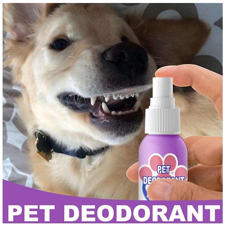 BreezeMist™ Breath Elixir — Unlock Endless Snuggles with Fresh, Healthy Pet Breath