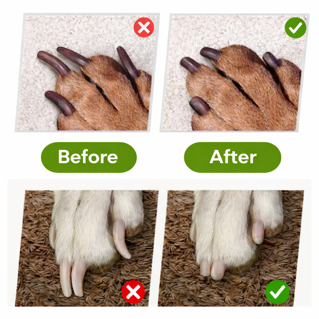 PawLuma™ — Master Nail Trims with Calm Confidence and Zero Stress
