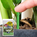 Plant Nutrition | Uniform Nutrient Spread | Simple Plug-In | RootVita