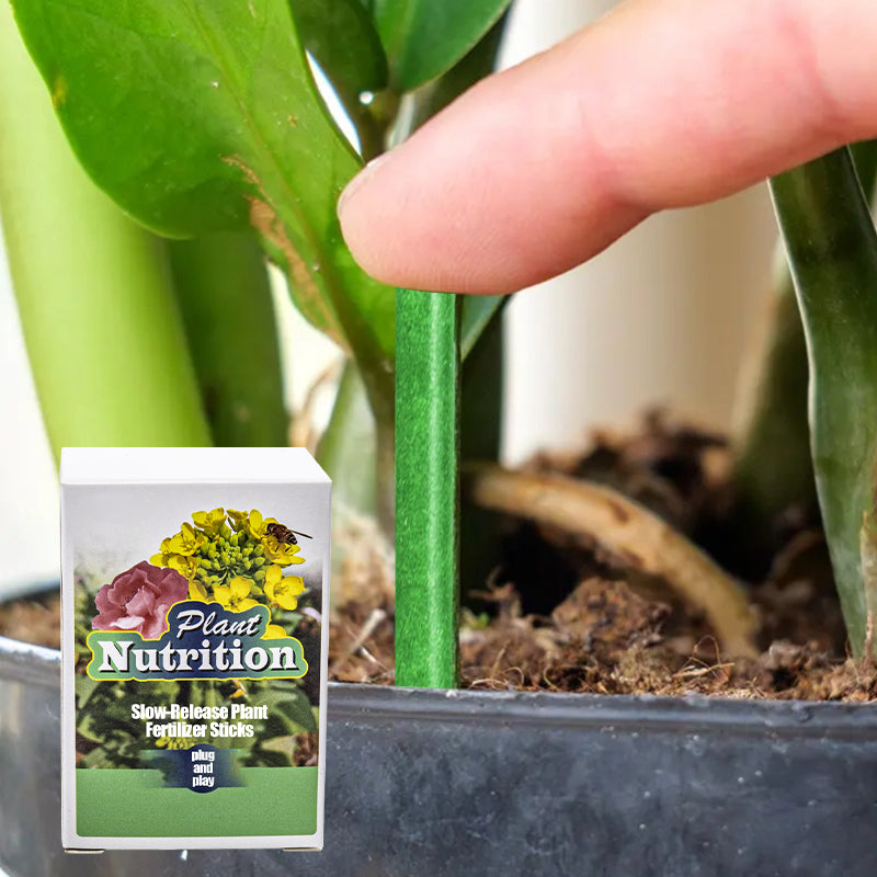 Plant Nutrition | Uniform Nutrient Spread | Simple Plug-In | RootVita