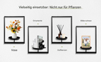Wall Plant Holder | Metal Style | Space-Efficient | Plantify