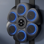 BoxPro™ — Unleash Fierce Power and Share Epic Family Fight Nights