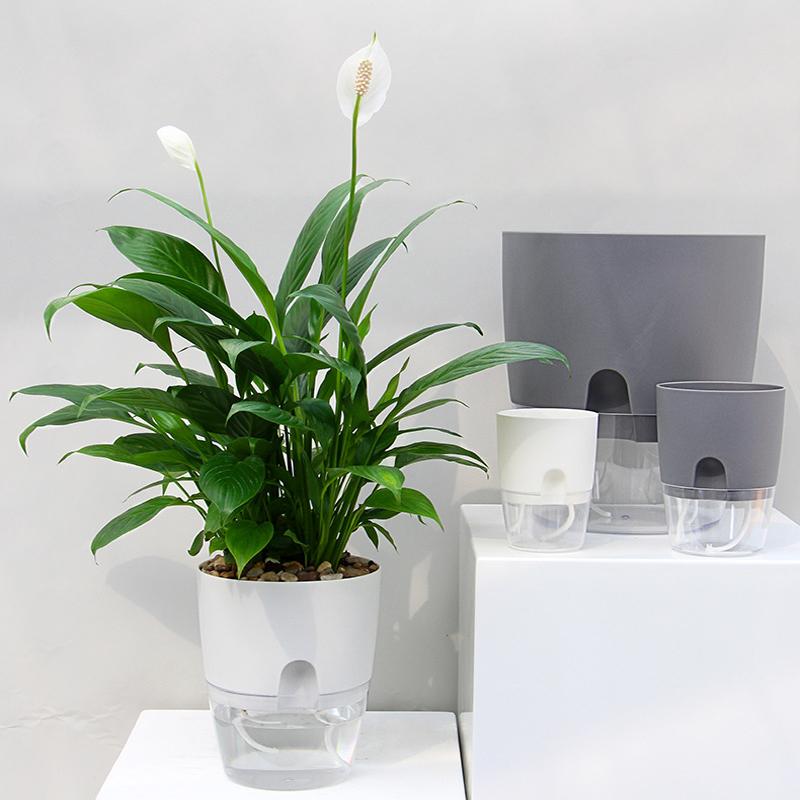 Flower Pot | Self-Watering | Clean Hydration | AquaWick
