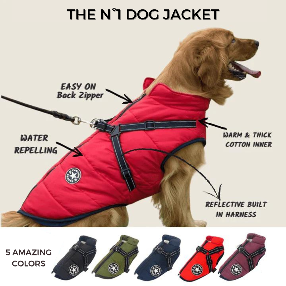 StormGuard™ Shield Coat — Wrap Your Dog in Cozy, Weatherproof Control for Stress-Free Walks