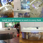 Fly Trap | Chemical-Free Quiet Insect Trap | Bait Traps | SilentCatch