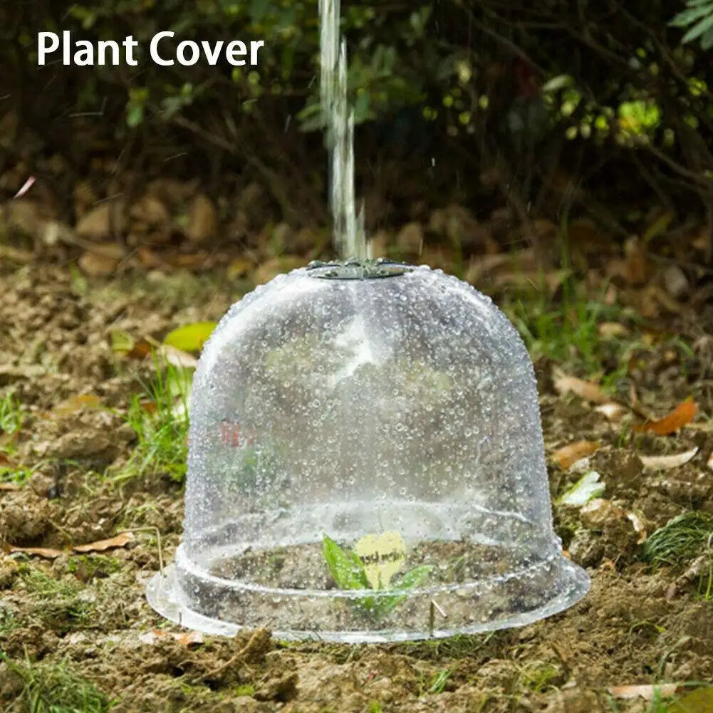 Garden Plant Cover | Clear Frost Shield | For Seedlings & Vegetables | Frostguard