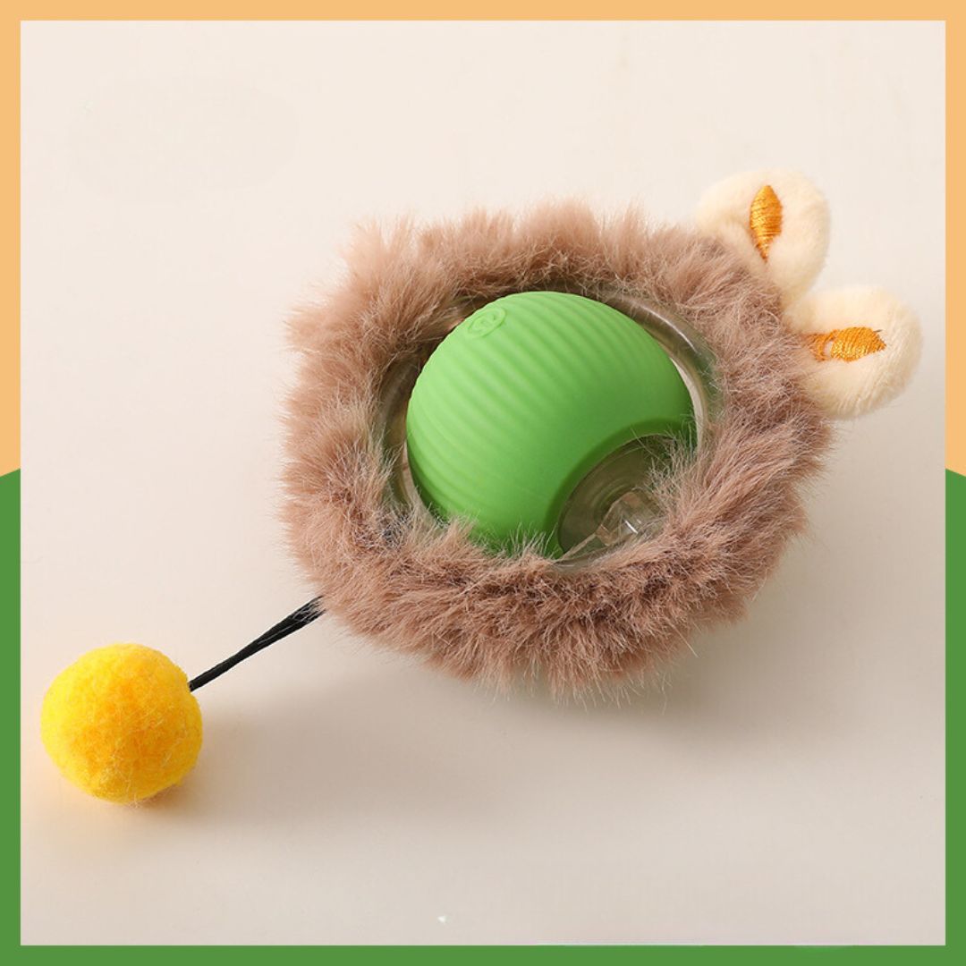 KineticPaw™ — Ignite Your Dog’s Wild Energy and Endless Joy with Every Chase
