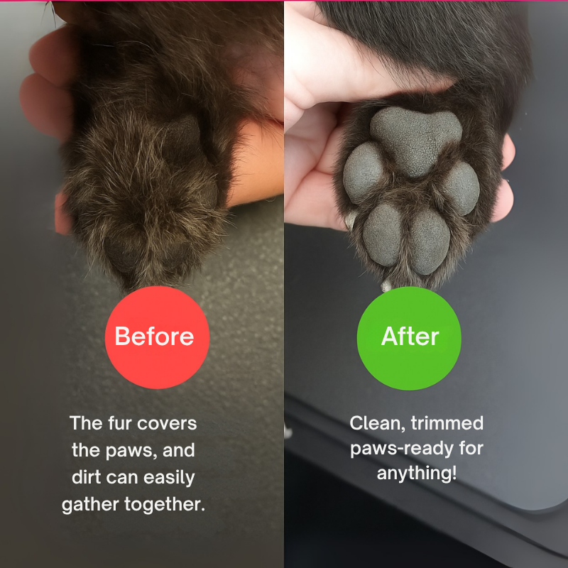 Pawsure™ — Effortless Precision Nail Care That Calms and Connects