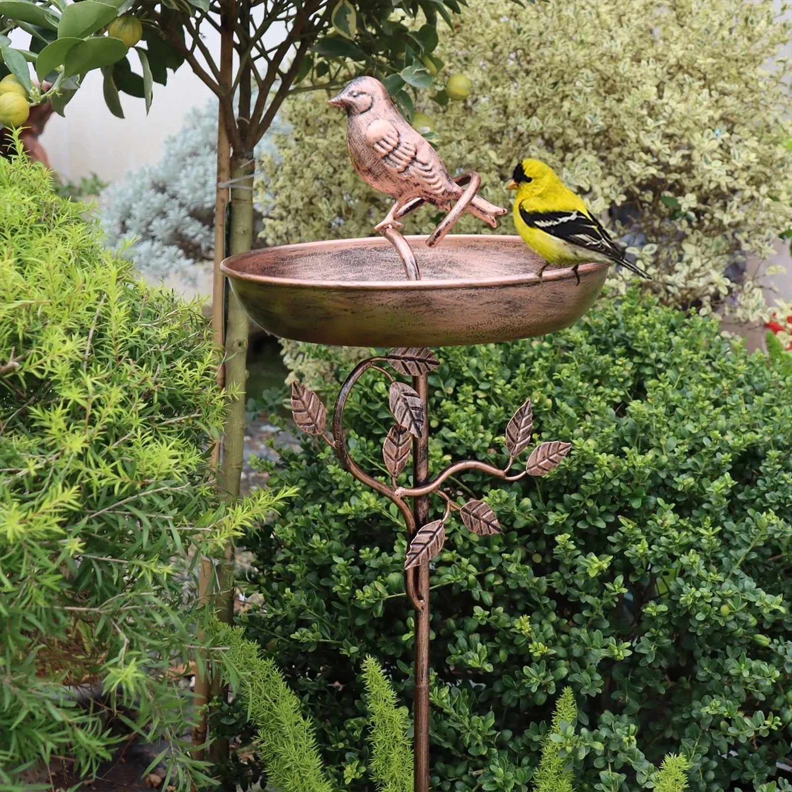 Garden Bird Bath | Ornamental Bowl | Firm Stake | GardenShine