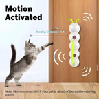 WhiskerFrenzy™ — Ignite Your Cat’s Wild Instincts for Endless Play and Joy
