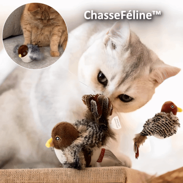 WildWhisk™ — Unleash Your Cat’s Wild Hunter for Explosive Joy and Fitness