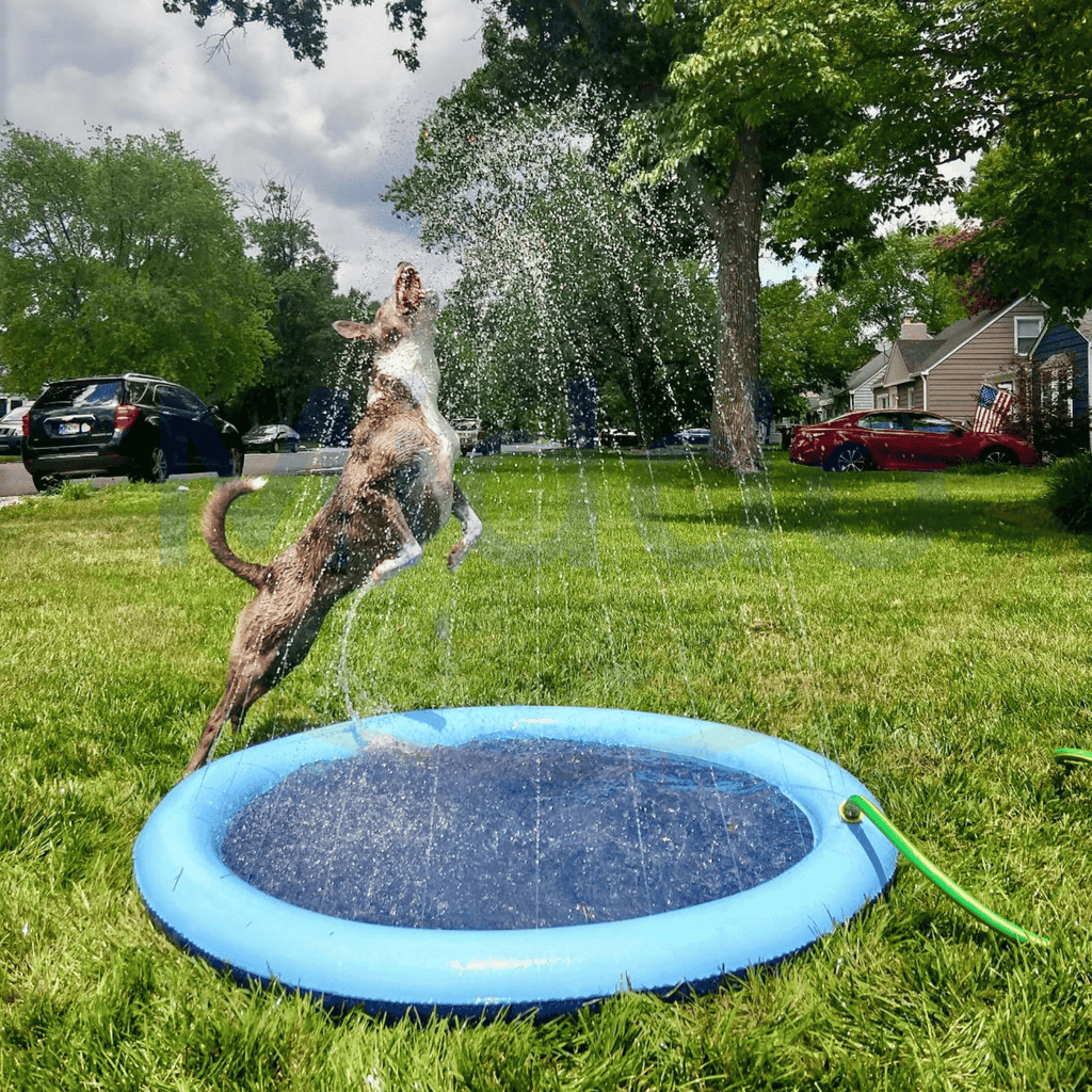 HydroJoy™ — Instantly Create Safe, Splash-Filled Backyards Everyone Craves