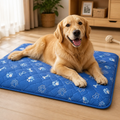 DogBedHouse Super-Absorbent Leak-Proof Non-Slip Training Pads (Washable, 2-Pack)
