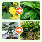 Plant Nutrition | Uniform Nutrient Spread | Simple Plug-In | RootVita