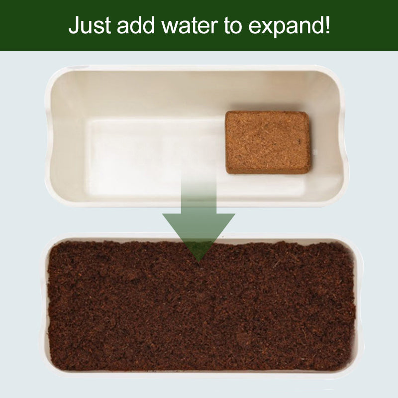EverPureBloom™ — Ignite Your Garden’s Unstoppable Growth and Life-Rich Vitality