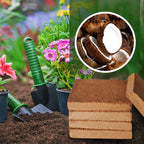 EverPureBloom™ — Ignite Your Garden’s Unstoppable Growth and Life-Rich Vitality