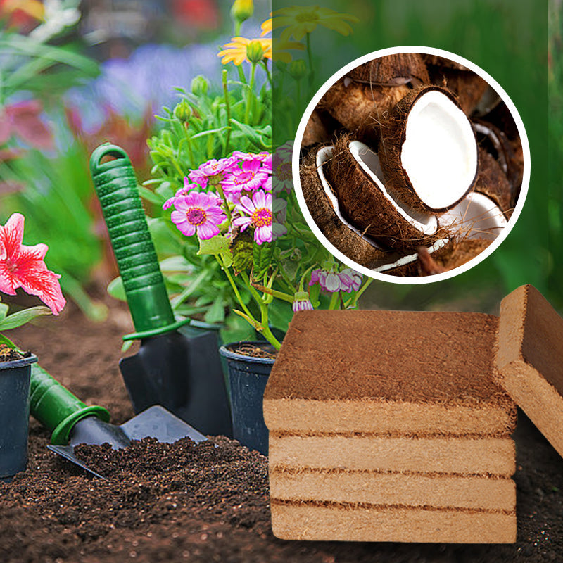 EverPureBloom™ — Ignite Your Garden’s Unstoppable Growth and Life-Rich Vitality