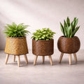 Flowerpot with Wooden Feet | Woven Basket Pattern | For Indoor & Outdoor Use | Plantara