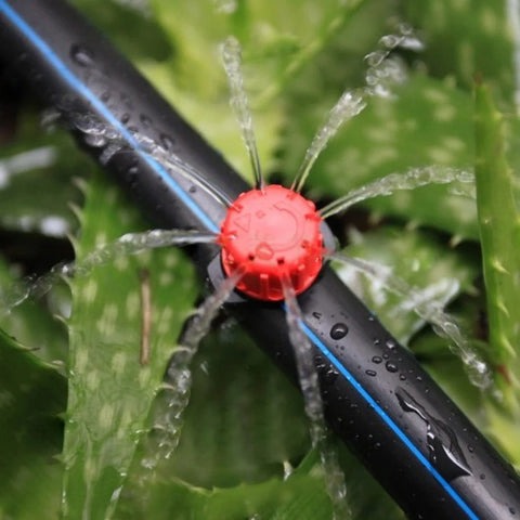 AquaVibe™ — Effortless Watering for Vibrant, Thriving Gardens Every Day