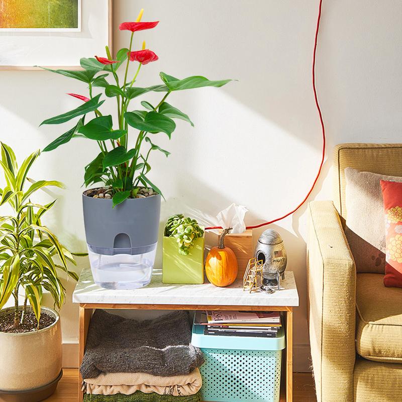 Flower Pot | Self-Watering | Clean Hydration | AquaWick