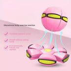 CuddleStride™ — Let Your Small Dog Explore Freely with Unmatched Comfort and Confidence