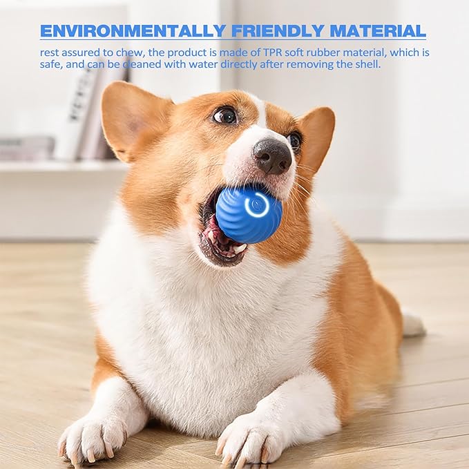ThrillPup™ — Ignite Boundless Joy and Energy with Every Chase