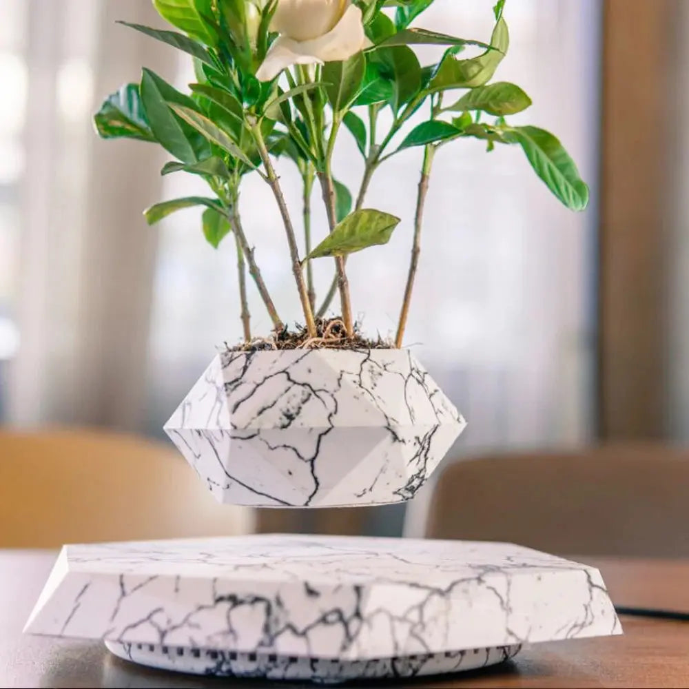 Flower Pot | 360° Rotation | Sculptural, Hovering Design | AeroPlant
