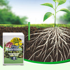 Plant Nutrition | Uniform Nutrient Spread | Simple Plug-In | RootVita