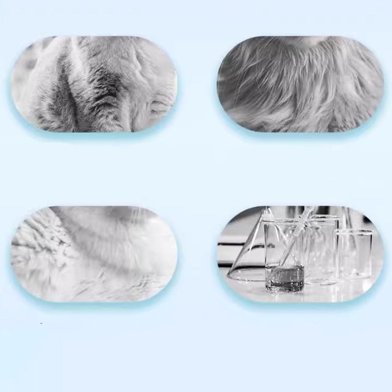 LumaPaw™ Waterless Cleansing Foam — Instantly Fresh, Soft, and Stress-Free Pet Care Anywhere