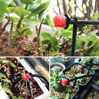 AquaVibe™ — Effortless Watering for Vibrant, Thriving Gardens Every Day