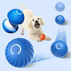 ThrillPup™ — Ignite Boundless Joy and Energy with Every Chase