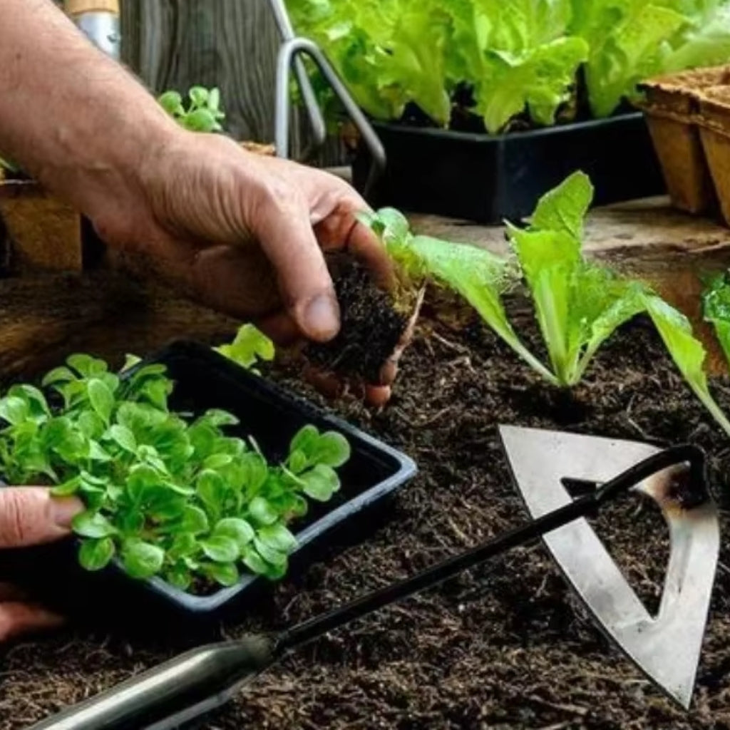 Weed puller | Upright weed removal with no bending | Hollow forged steel blade | RootPath